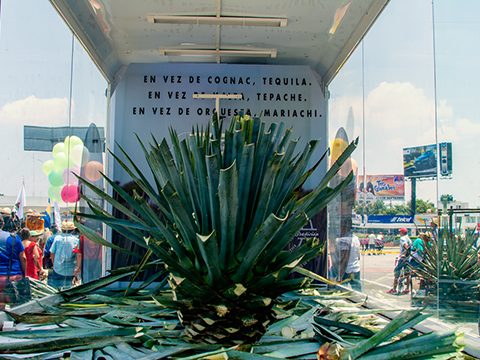 Apa Vip Vitrina M�vil Vers�til en Puerto Vallarta Tequila El Patriarca Desfile